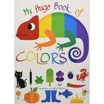 MY HUGE BOOK OF COLOURS