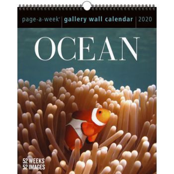 OCEAN PAGE-A-WEEK GALLERY CALENDAR 2020. /стенен календар/