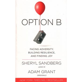 OPTION B: Facing Adversity, Building Resilience and Finding Joy