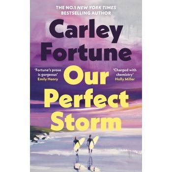 Our Perfect Storm (Trade Paperback)