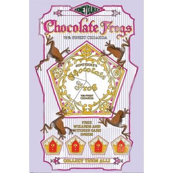 HARRY POTTER POSTER CHOCOLATE FROGS