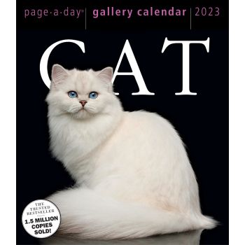 CAT PAGE-A-DAY GALLERY CALENDAR 2023