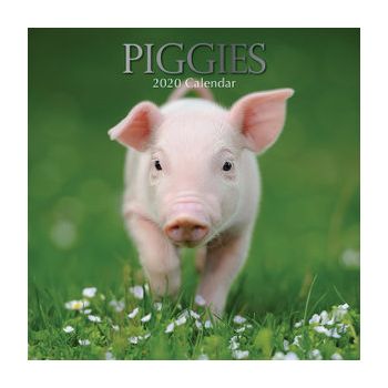 PIGGIES 2020. /стенен календар/