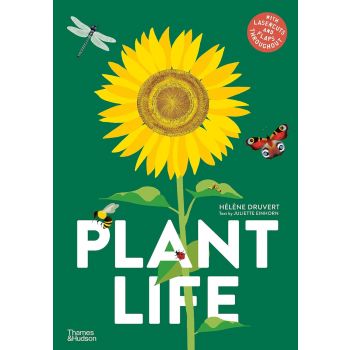 Plant Life