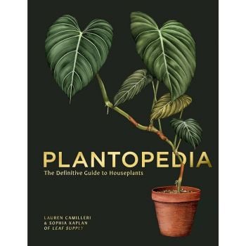 PLANTOPEDIA: The Definitive Guide to House Plants