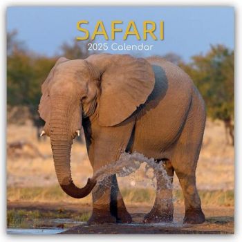 Safari 16-Month Square Wall Calendar 2025