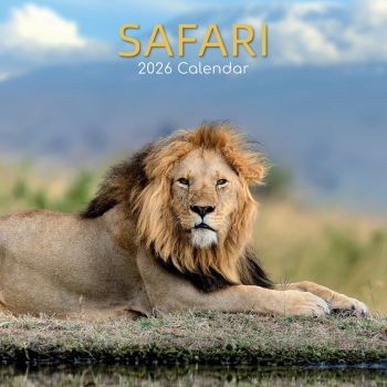 Safari. 16-Month Square Wall Calendar 2026