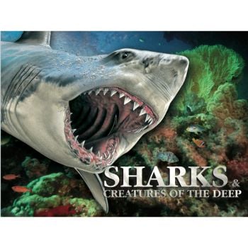 SHARKS & PREDATORS OF THE DEEP