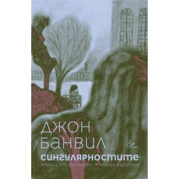 Сингулярностите