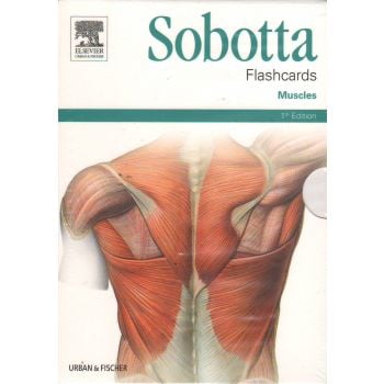 SOBOTTA: FLASHCARDS MUSCLES