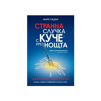 Странна случка с куче през нощта