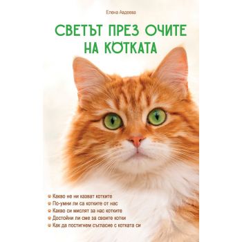Светът през очите на котката
