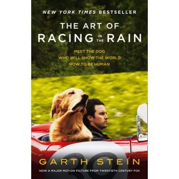 THE ART OF RACING IN THE RAIN