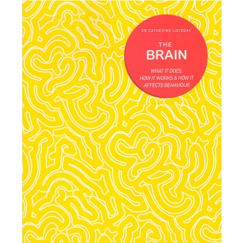 THE BRAIN