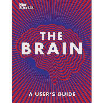 THE BRAIN: A User`s Guide