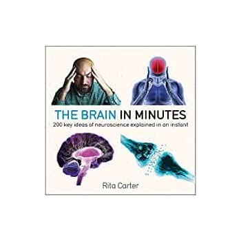 THE BRAIN IN MINUTES