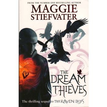 THE DREAM THIEVES