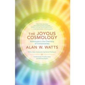 The Joyous Cosmology