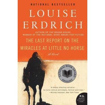 LAST REPORT ON THE MIRACLES AT LITTLE NO HORSE