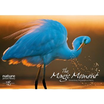 THE MAGIC MOMENT: Extraordinary Photographs of Nature