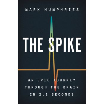 SPIKE : An Epic Journey Through the Brain in 2.1 Seconds
