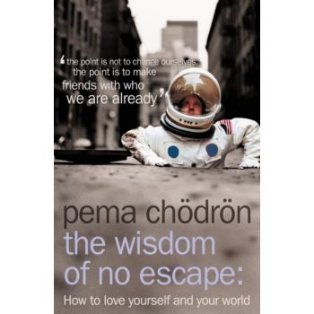 The Wisdom of No Escape