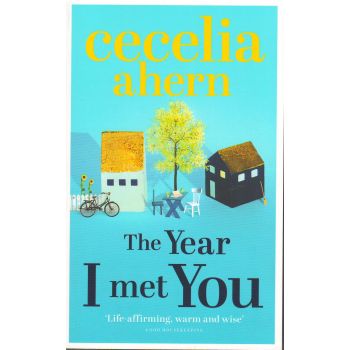 THE YEAR I MET YOU