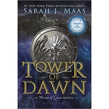 TOWER OF DAWN: Miniature character collection
