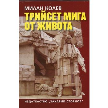 Трийсет мига от живота