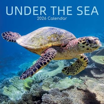 Under the Sea. 16-Month Square Wall Calendar 2026