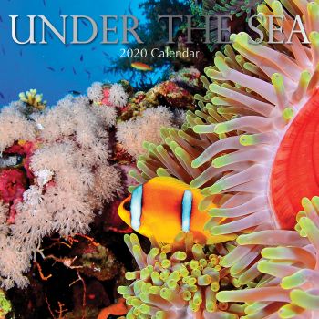 UNDER THE SEA 2020. /стенен календар/