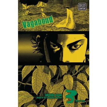 VAGABOND, Vol. 3