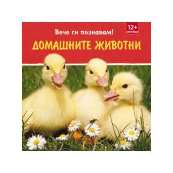 Домашните животни. “Вече ги познавам!“