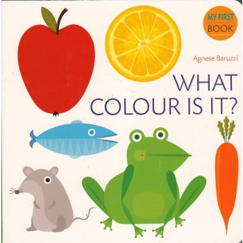 WHAT COLOR IS IT? “My First Book“