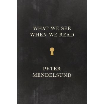 WHAT WE SEE WHEN WE READ