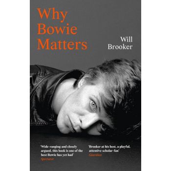 WHY BOWIE MATTERS