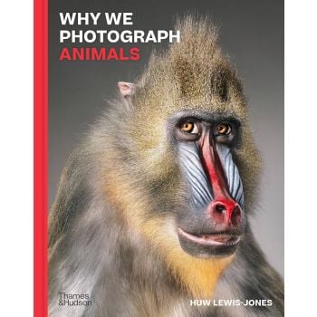 WHY WE PHOTOGRAPH ANIMALS
