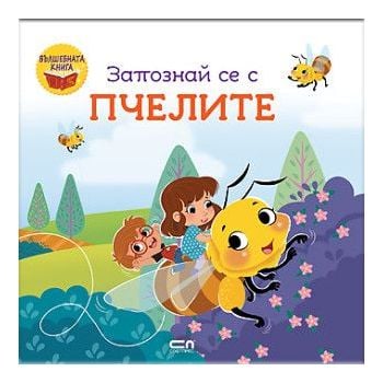 Запознай се с пчелите