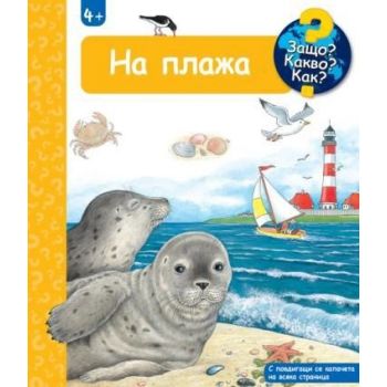 Защо? Какво? Как? На плажа