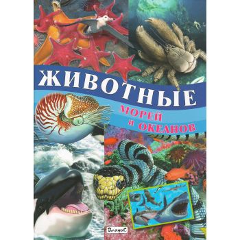 Животные морей и океанов