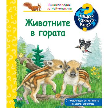 Защо? Какво? Как? Животните в гората
