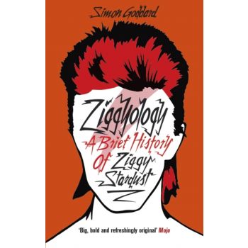 ZIGGYOLOGY