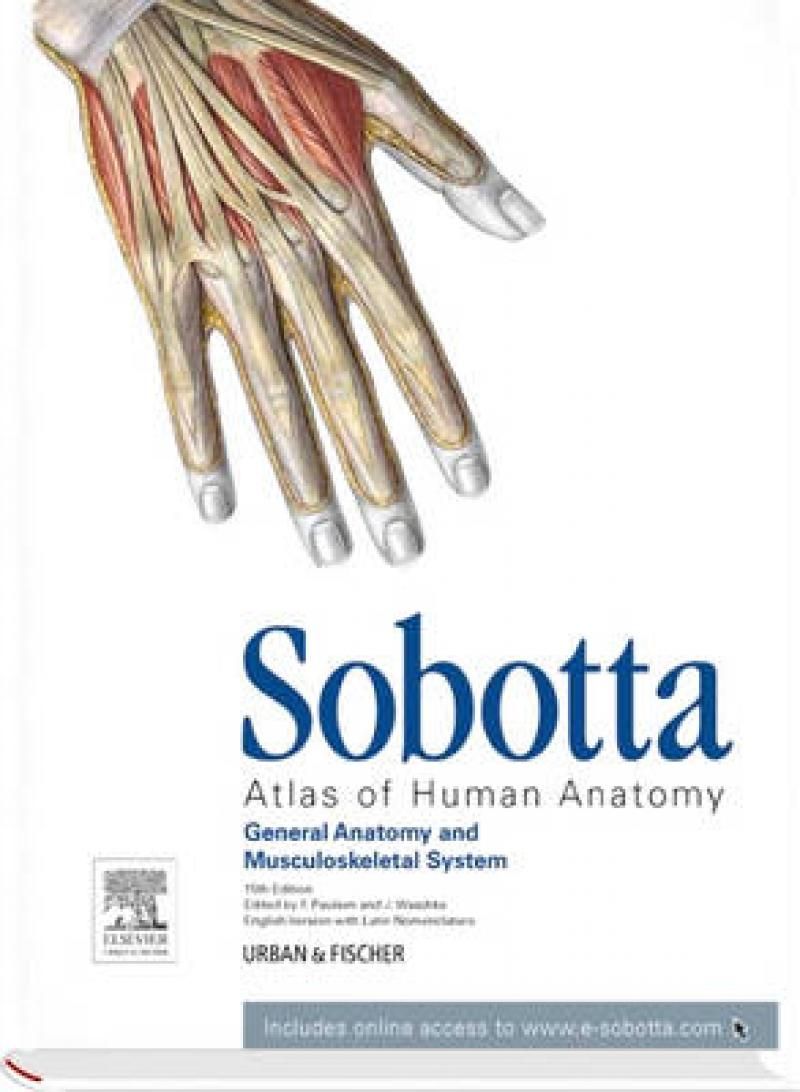 atlas-of-human-anatomy-