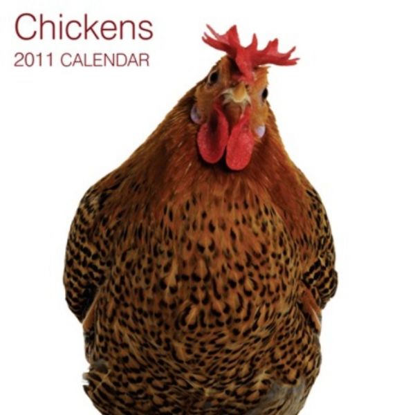 CHIKENS 2011. /стенен календар/