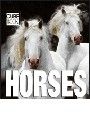 HORSES: Cube book
