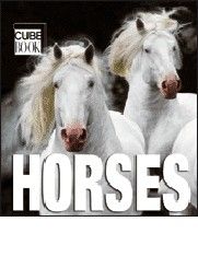HORSES: Mini Cube Book