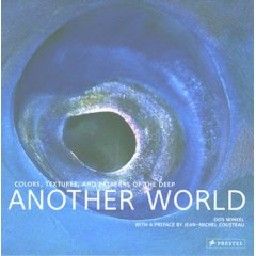 ANOTHER WORLD: colours, textures & patterns of t