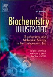 BIOCHEMISTRY ILLUSTRATED. (P.Campbell), PB