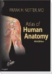ATLAS OF HUMAN ANATOMY. 4th ed. (F.Netter), PB