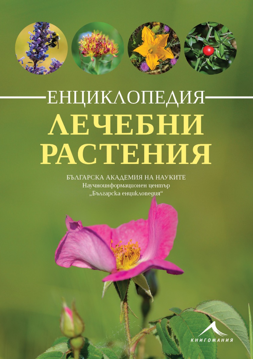 lechebni-rasteniq-enciklopedia